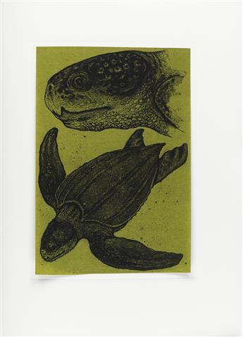 (CHELONIIDAE PRESS.) Robinson, Alan James. Cheloniidae: Sea Turtles.